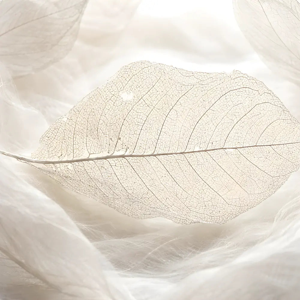 Chandrika Ayurveda : Marque, Produits et Rituels Holistiques